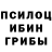 Галлюциногенные грибы Psilocybine cubensis Ablaikk Kan