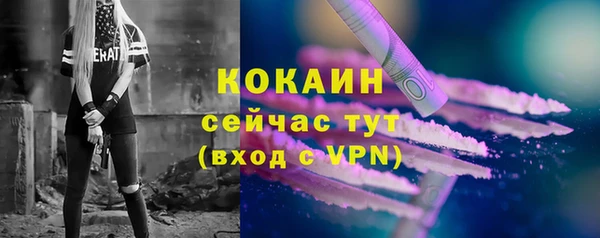 прущие грибы Нягань
