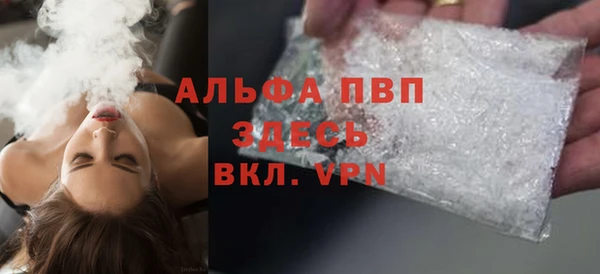 прущие грибы Нягань