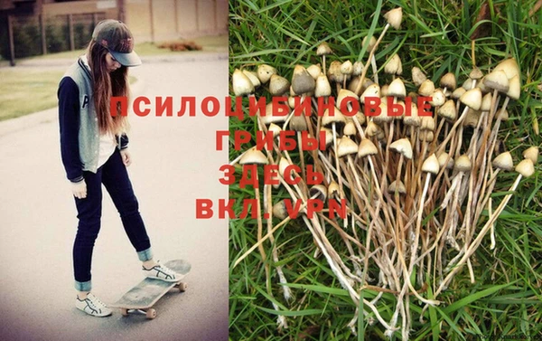 дистиллят марихуана Новокубанск