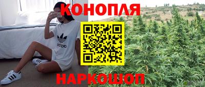 прущие крисы Заволжье