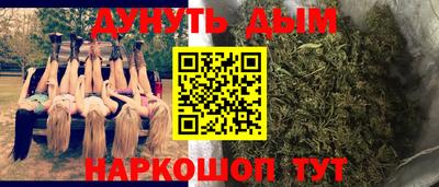 PSILOCYBIN Заводоуковск