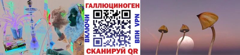 Псилоцибиновые грибы прущие грибы Симферополь