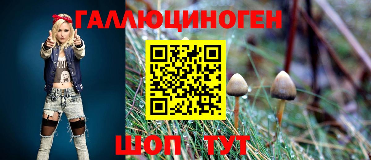 Псилоцибиновые грибы мицелий  Галлюциногенные грибы Cubensis  Симферополь 